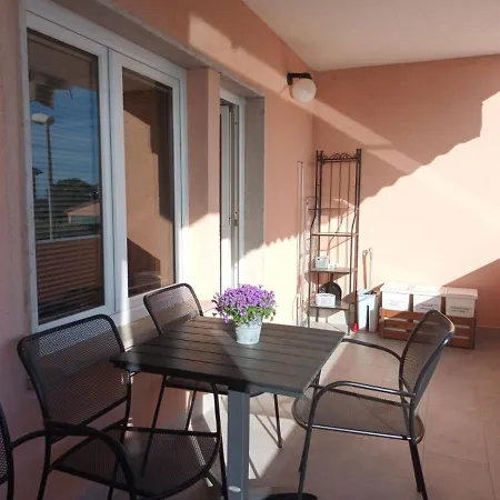 Merlin * Novigrad (Istria)