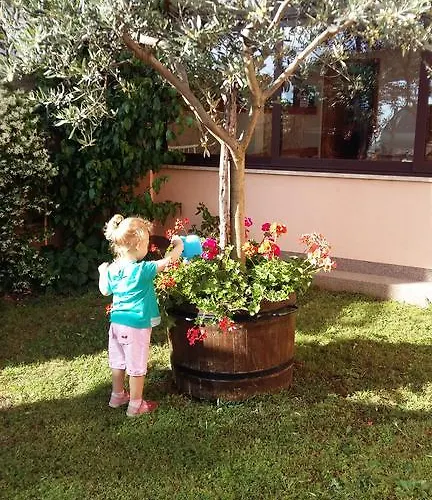 Merlin Novigrad Istria